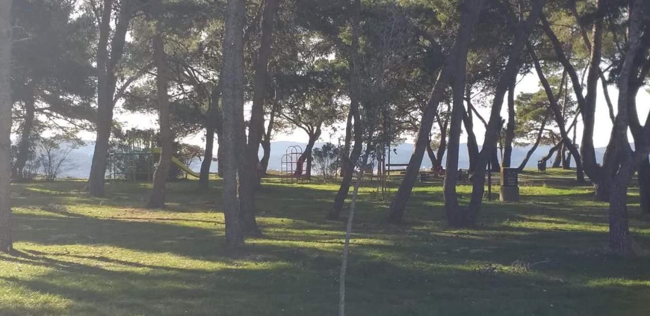 Ferienwohnung Apartman Petar Zadar Exterior foto