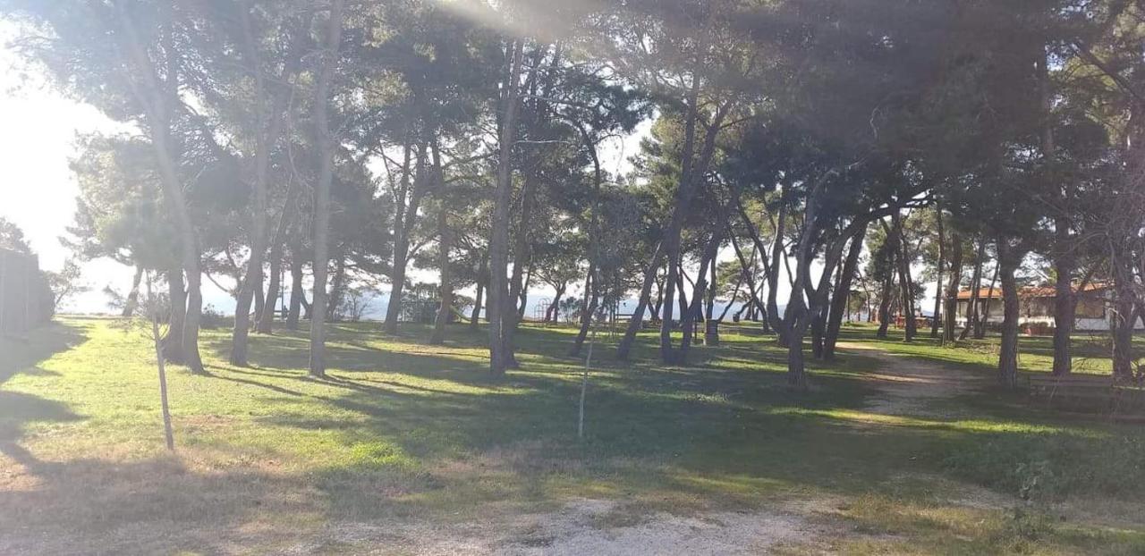 Ferienwohnung Apartman Petar Zadar Exterior foto